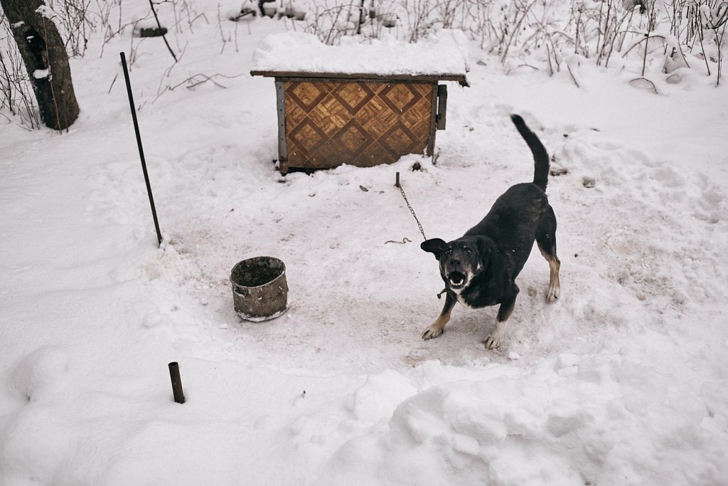 Marjinka, February 2020 (territory controlled by Ukraine)