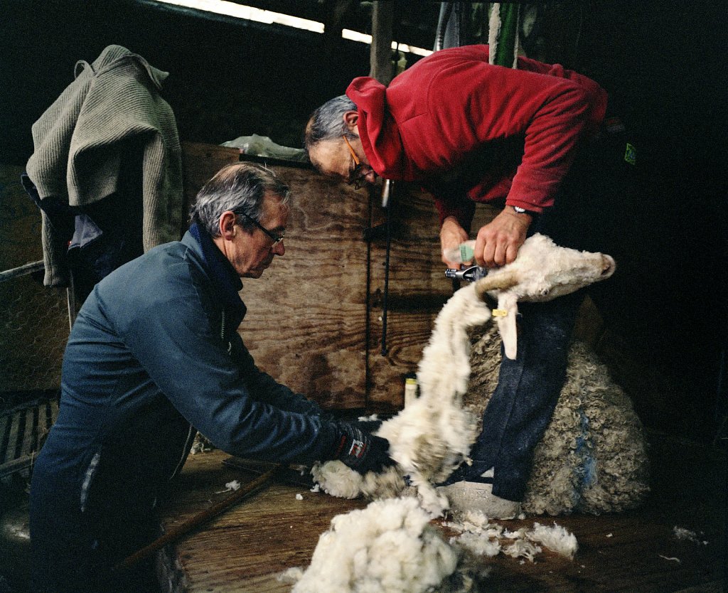 Agrikultur in der Bretagne