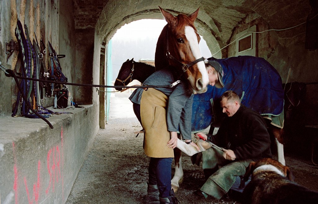 "Cavalli della Madonna": The monastery maintains the oldest stud farm in Europe. Einsiedeln horses have been bred for more than 1000 years.